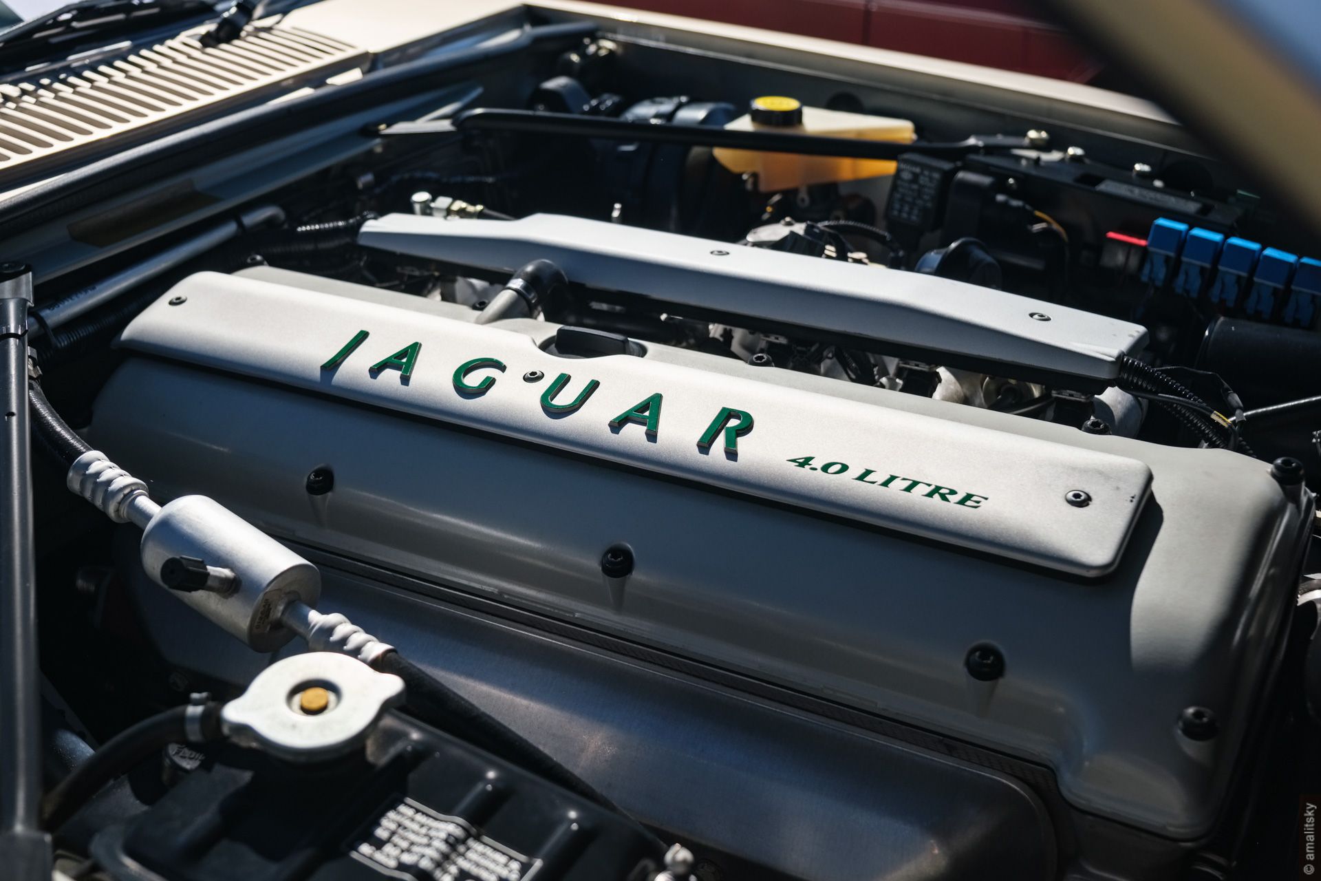 Jaguar XJS