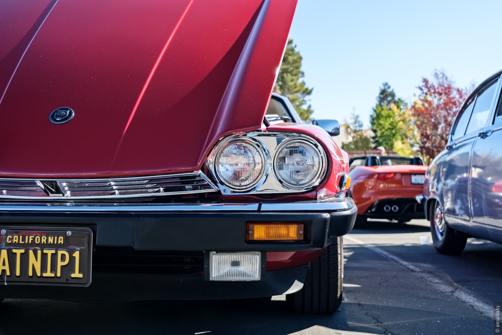 Jaguar XJS