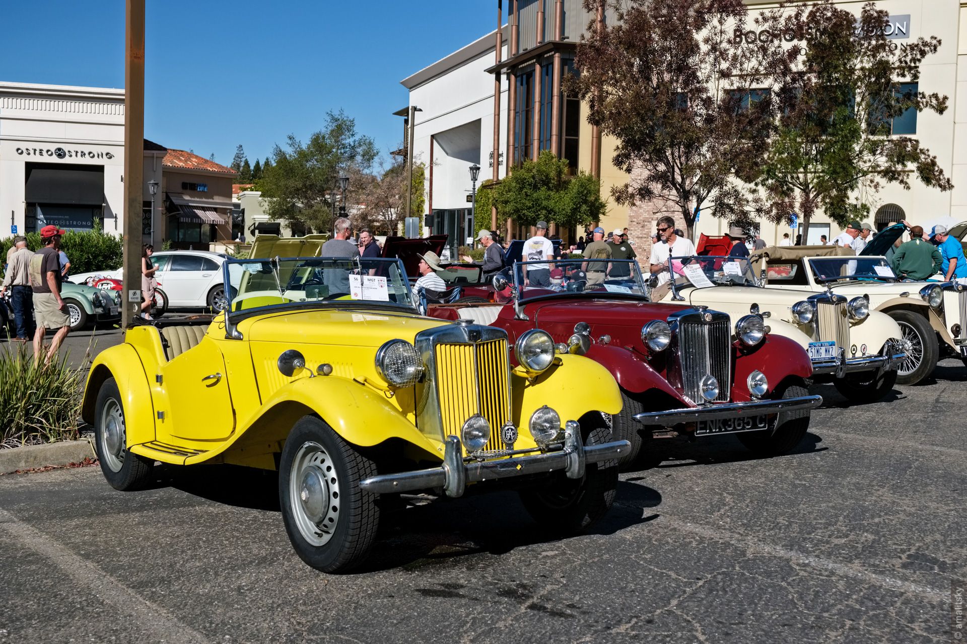 MG TD