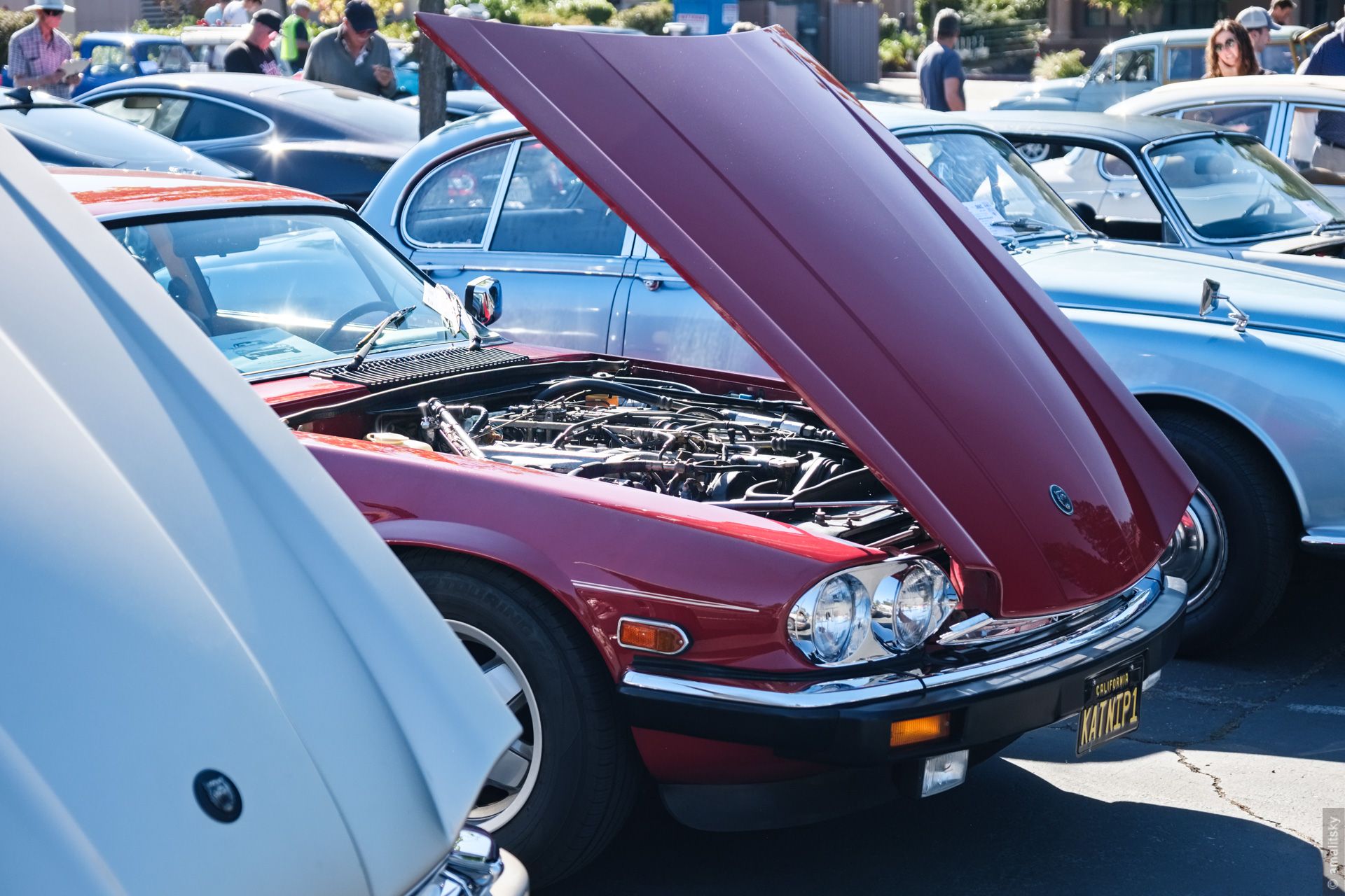Jaguar XJS