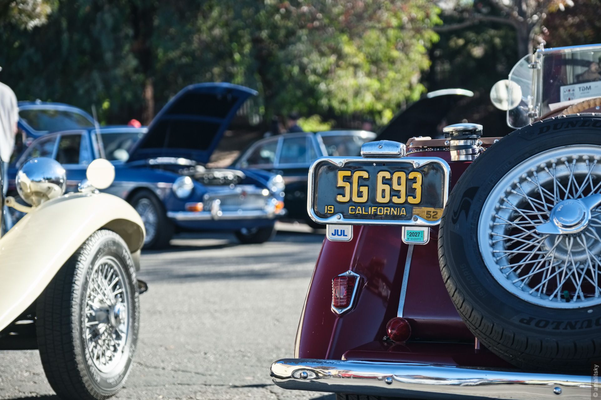 MG T-Series