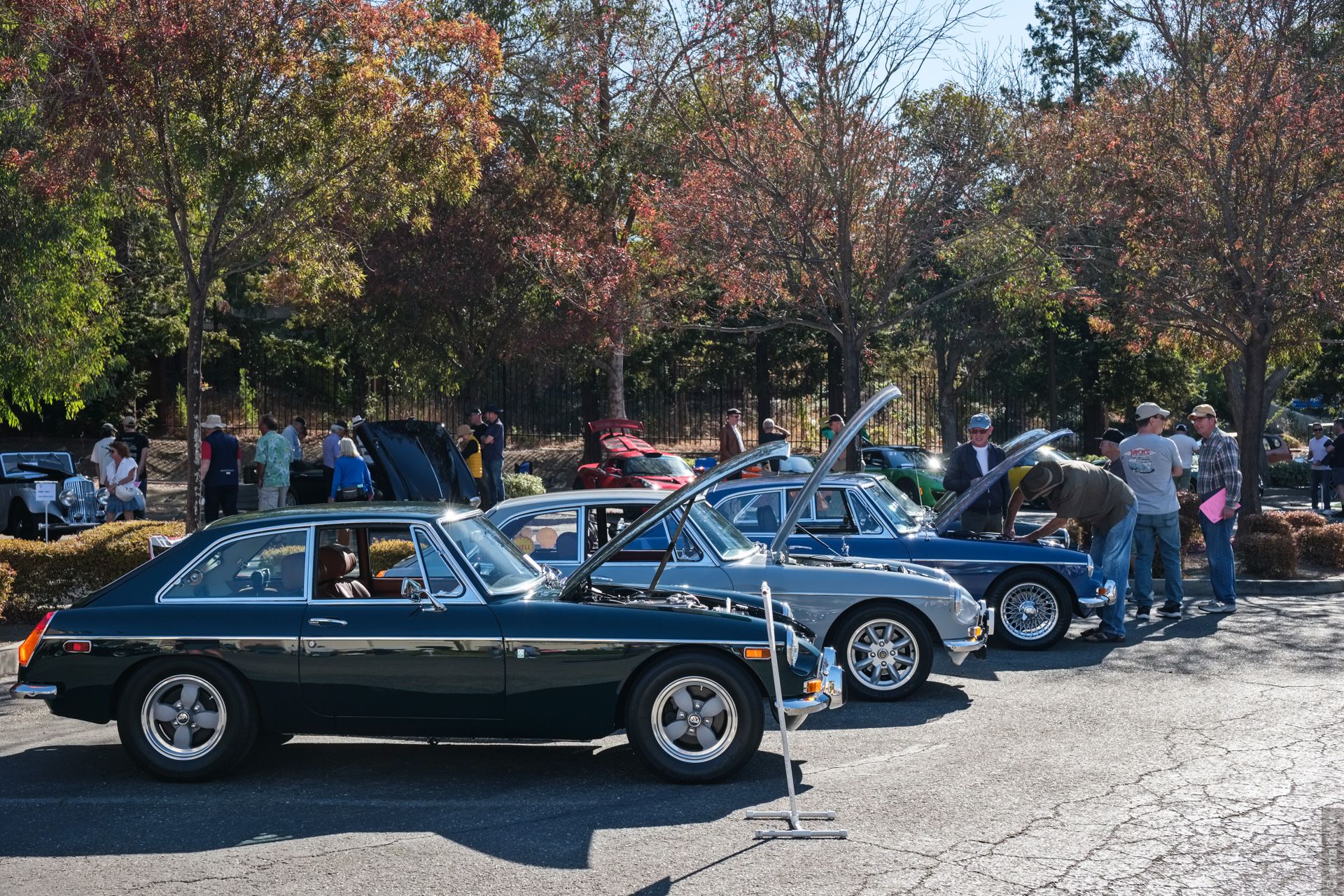 MG MGB GT