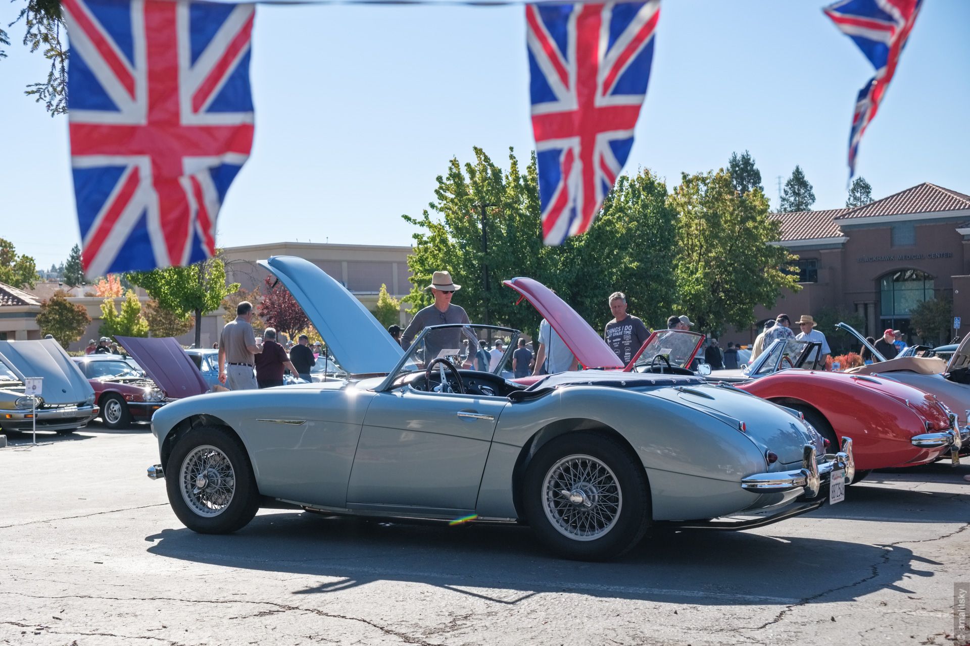 Austin Healey 3000
