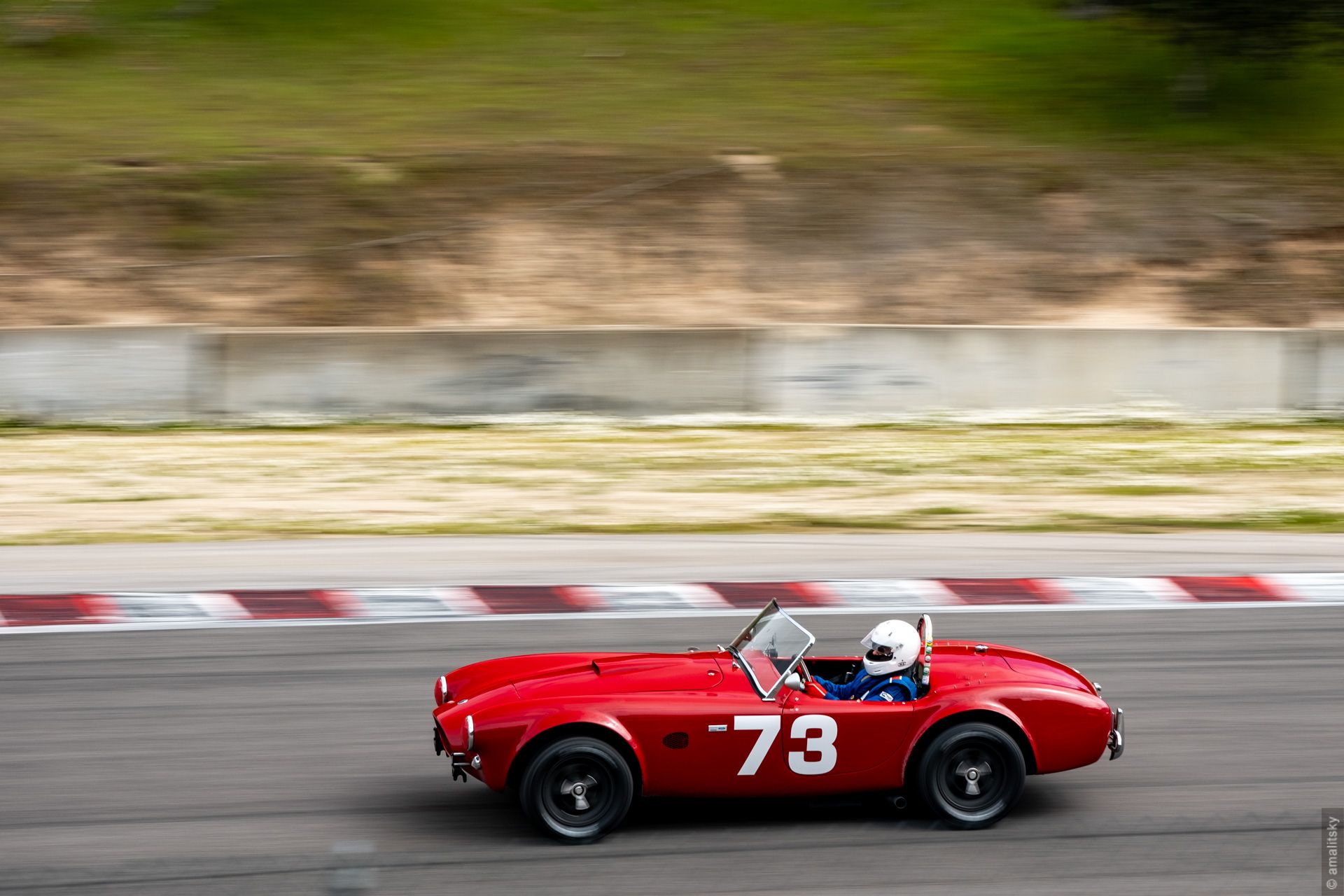 Shelby Cobra 289