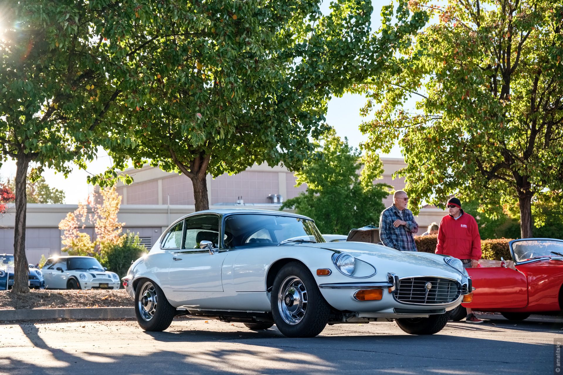 Jaguar E-Type Coupe