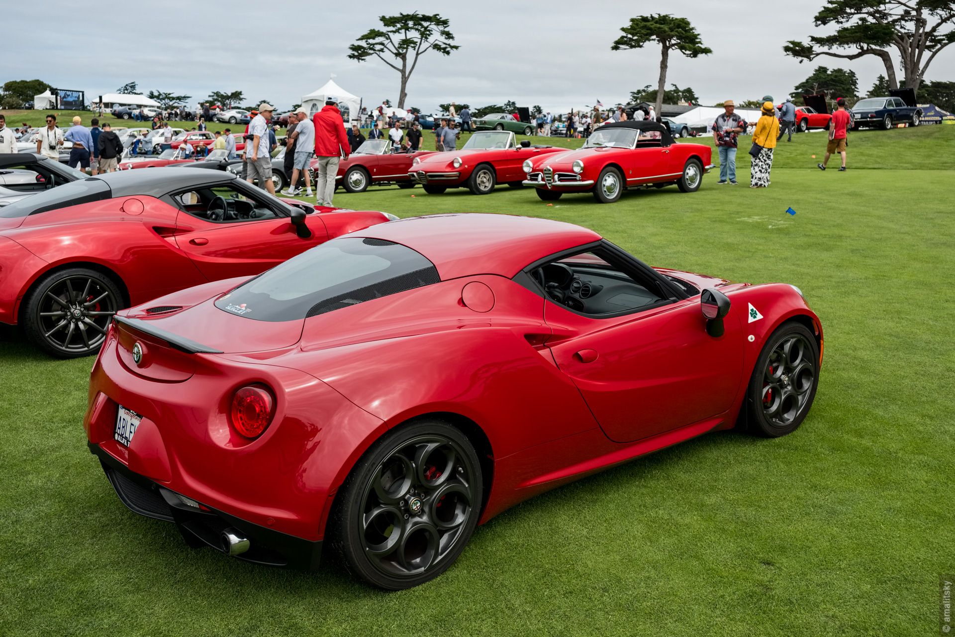 Alfa Romeo 4C