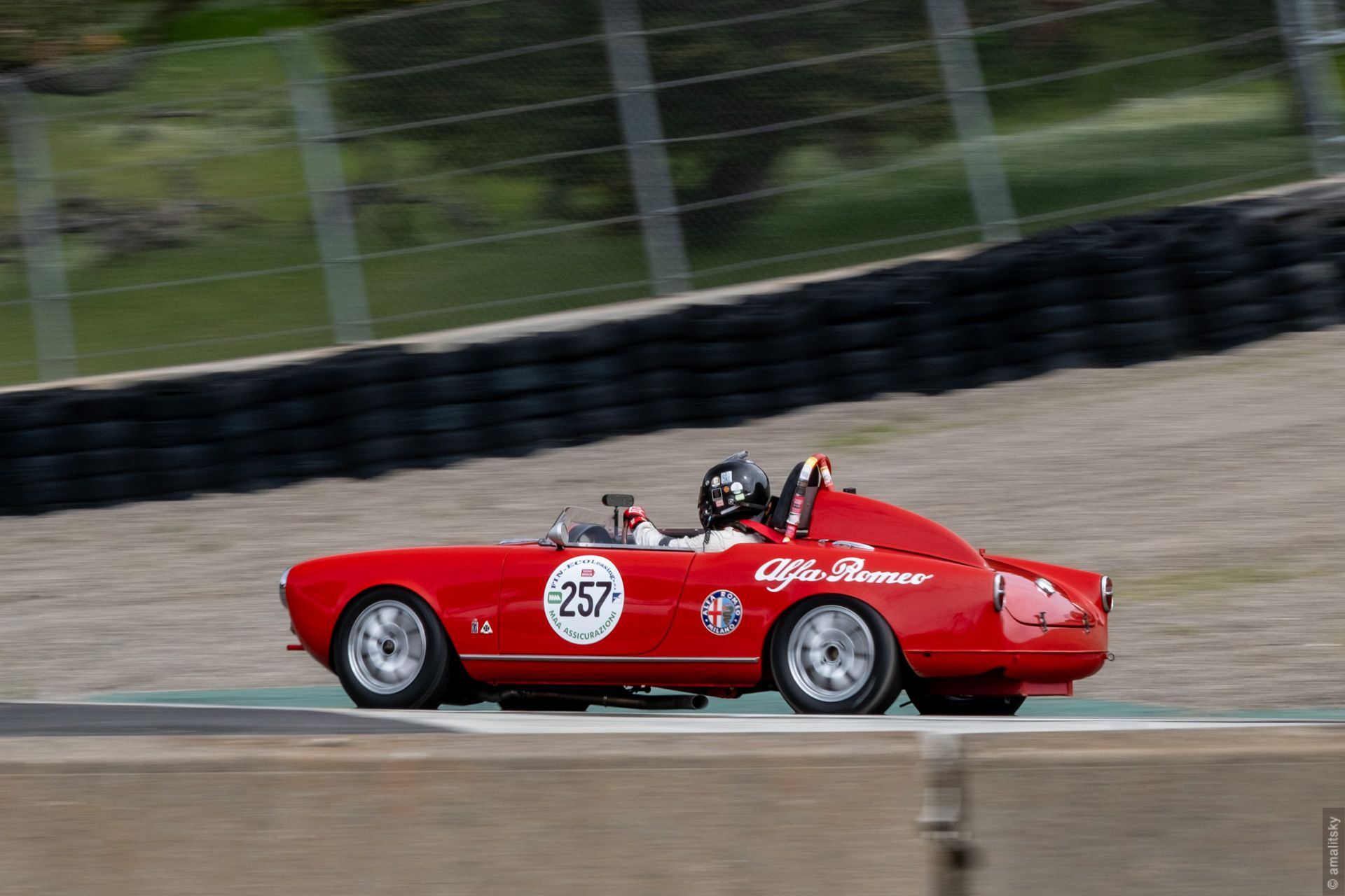 1956 Alfa Romeo Spider