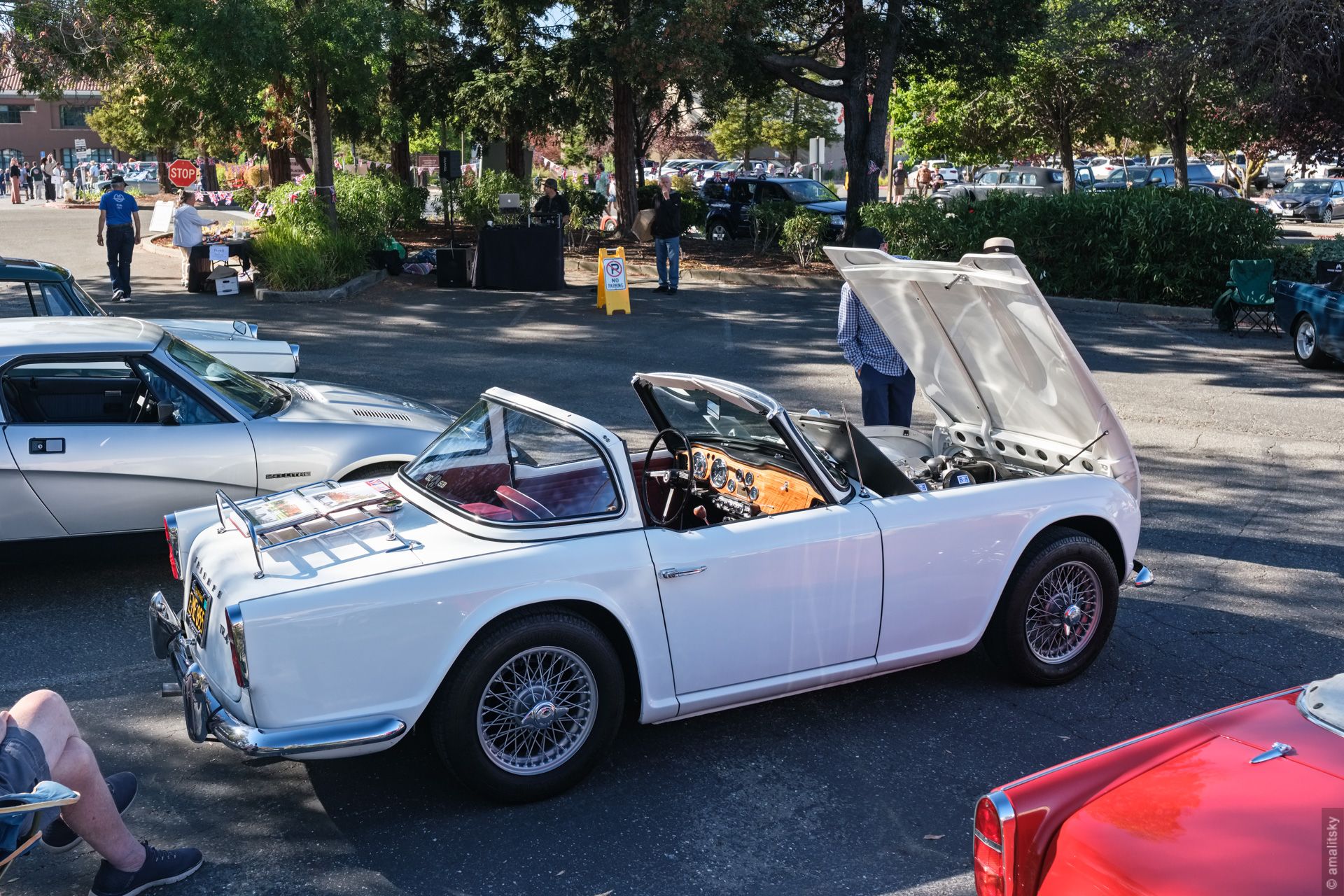 Triumph TR4