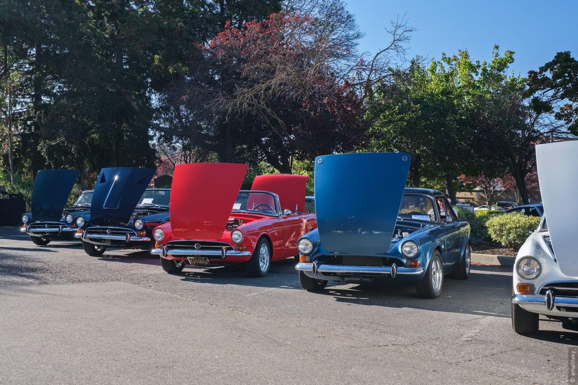 Sunbeam Tiger