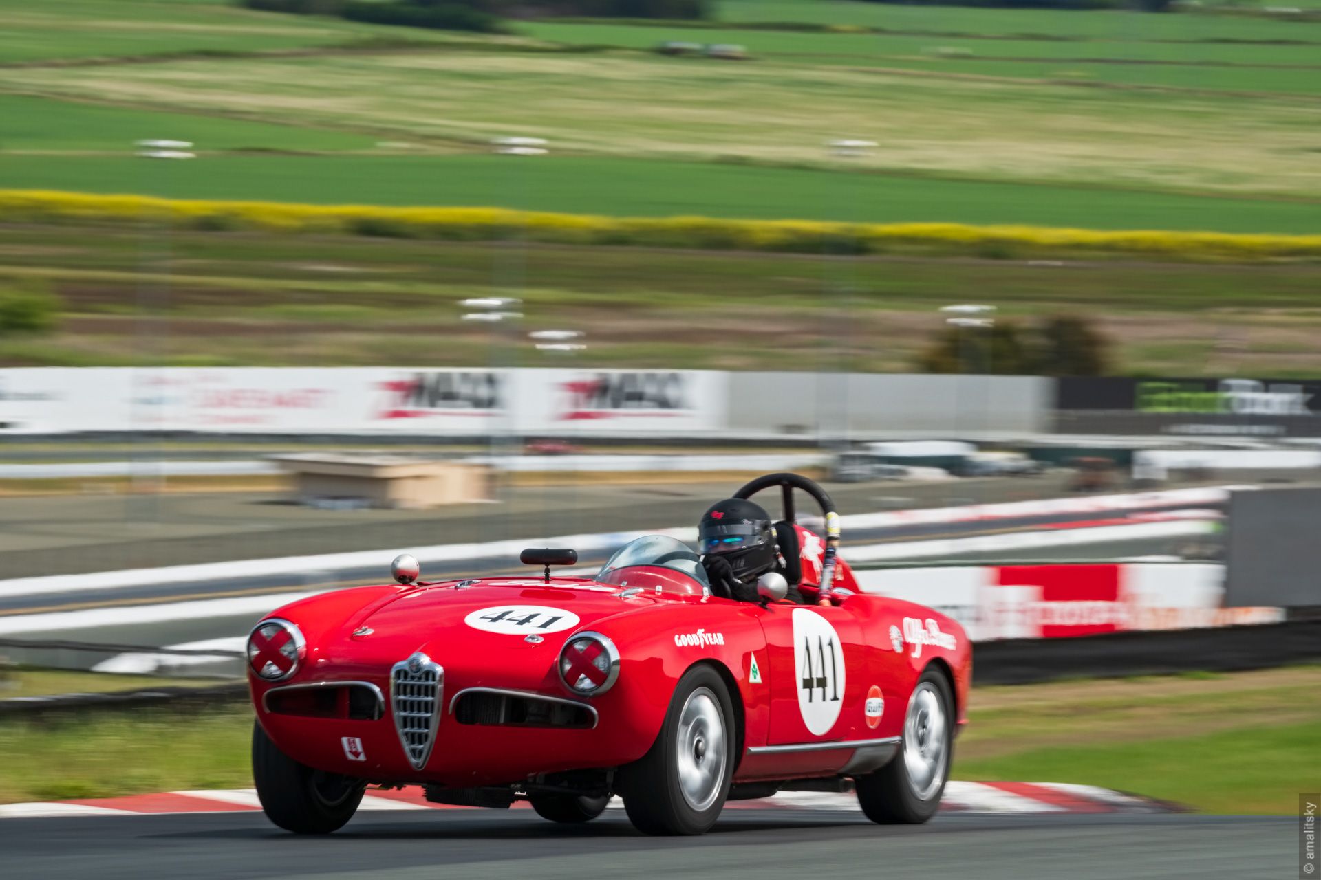 1956 Alfa Romeo Spider