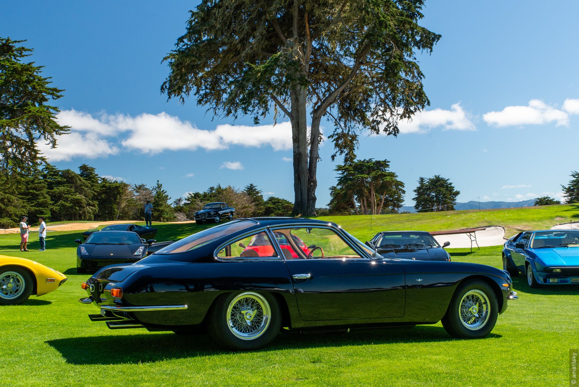 Lamborghini 350GT