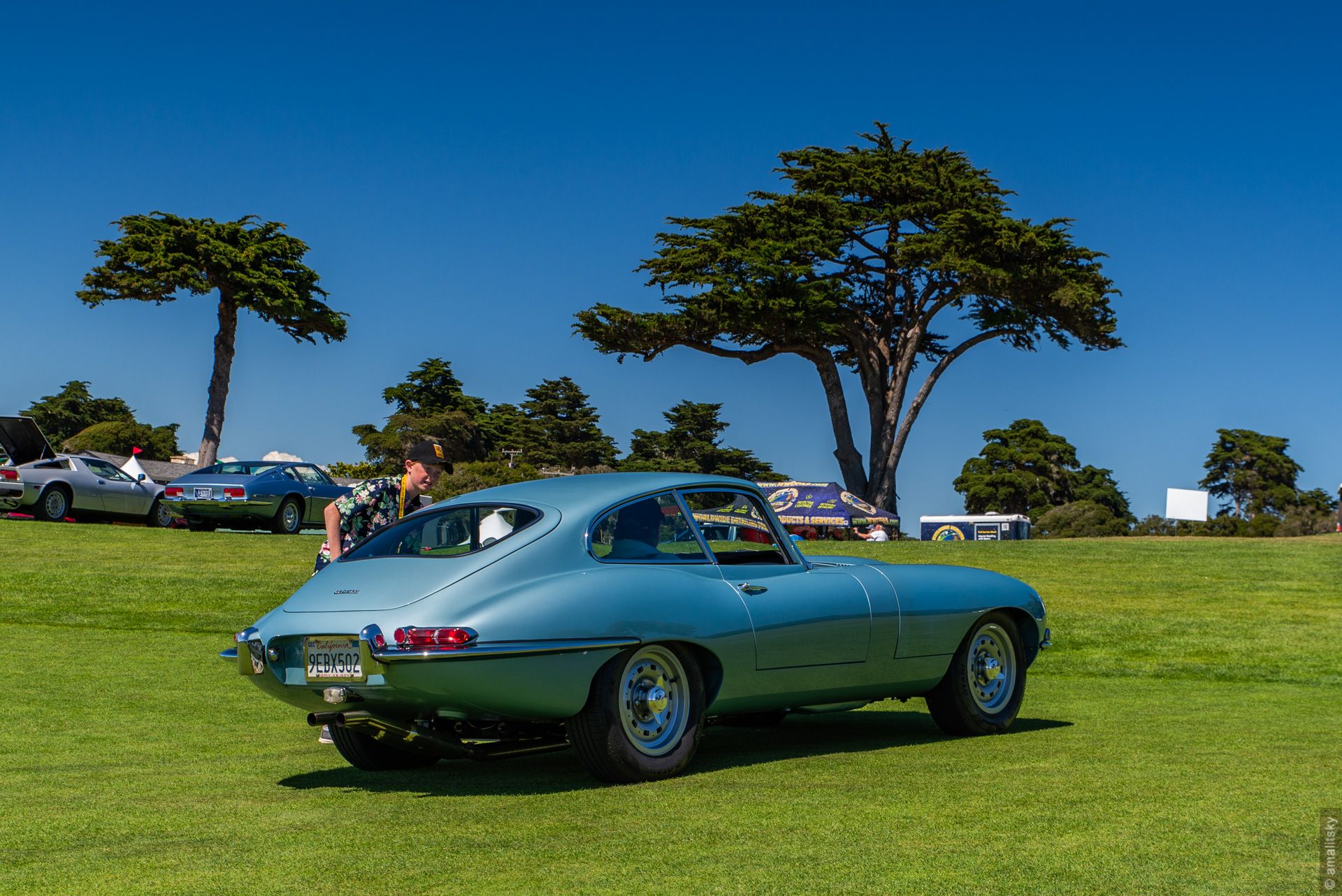 Jaguar E-type