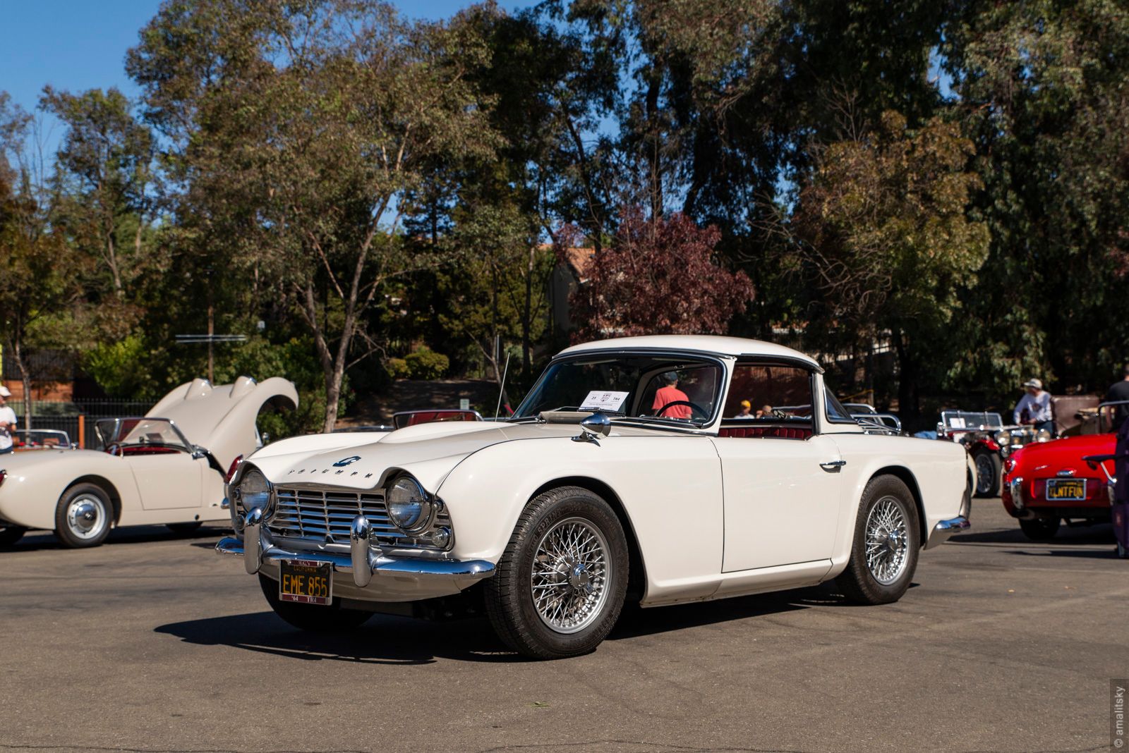 Triumph TR4