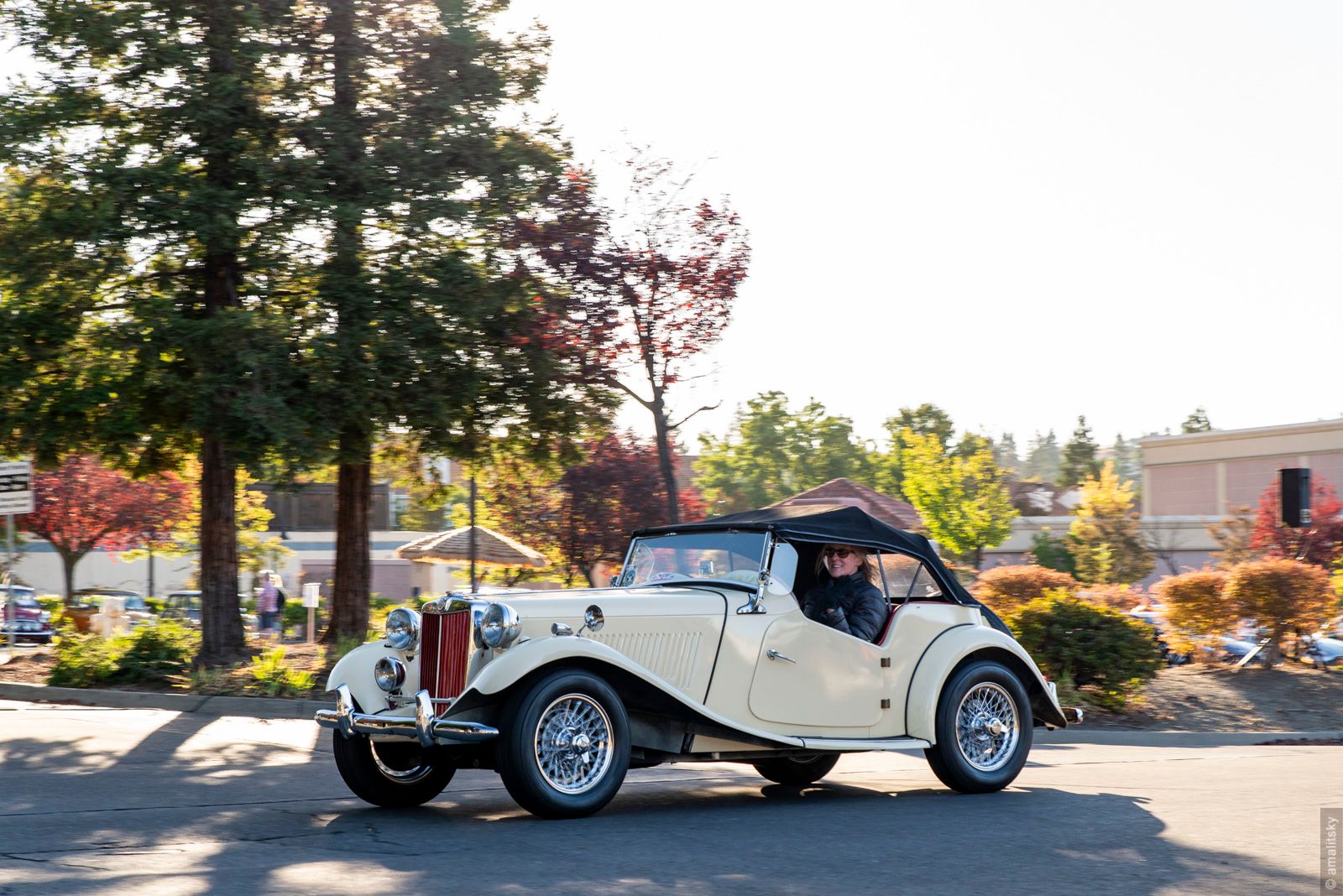 1952 MG TD