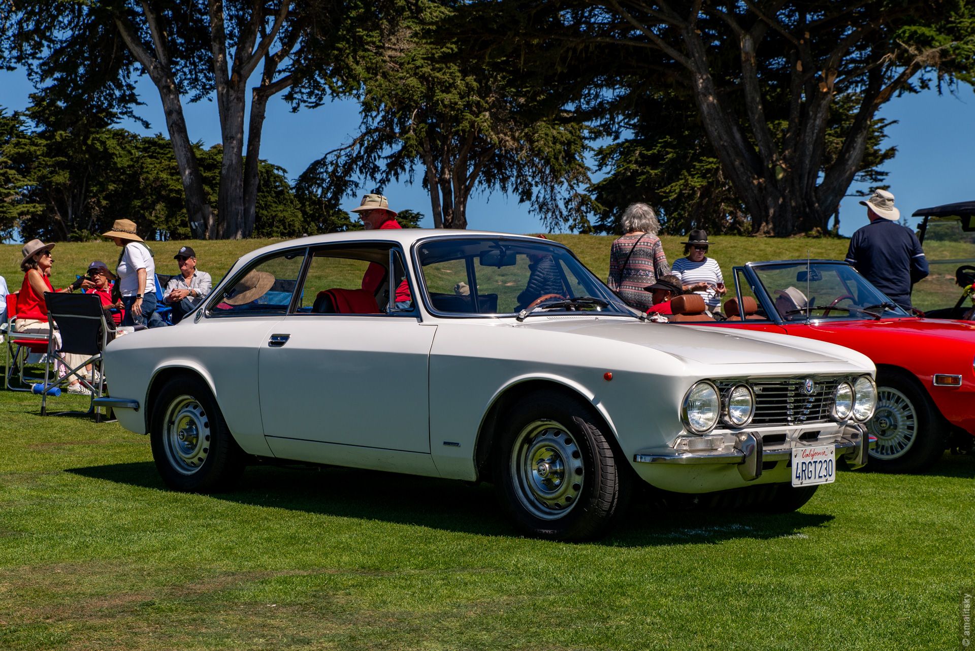 Alfa Romeo GTV