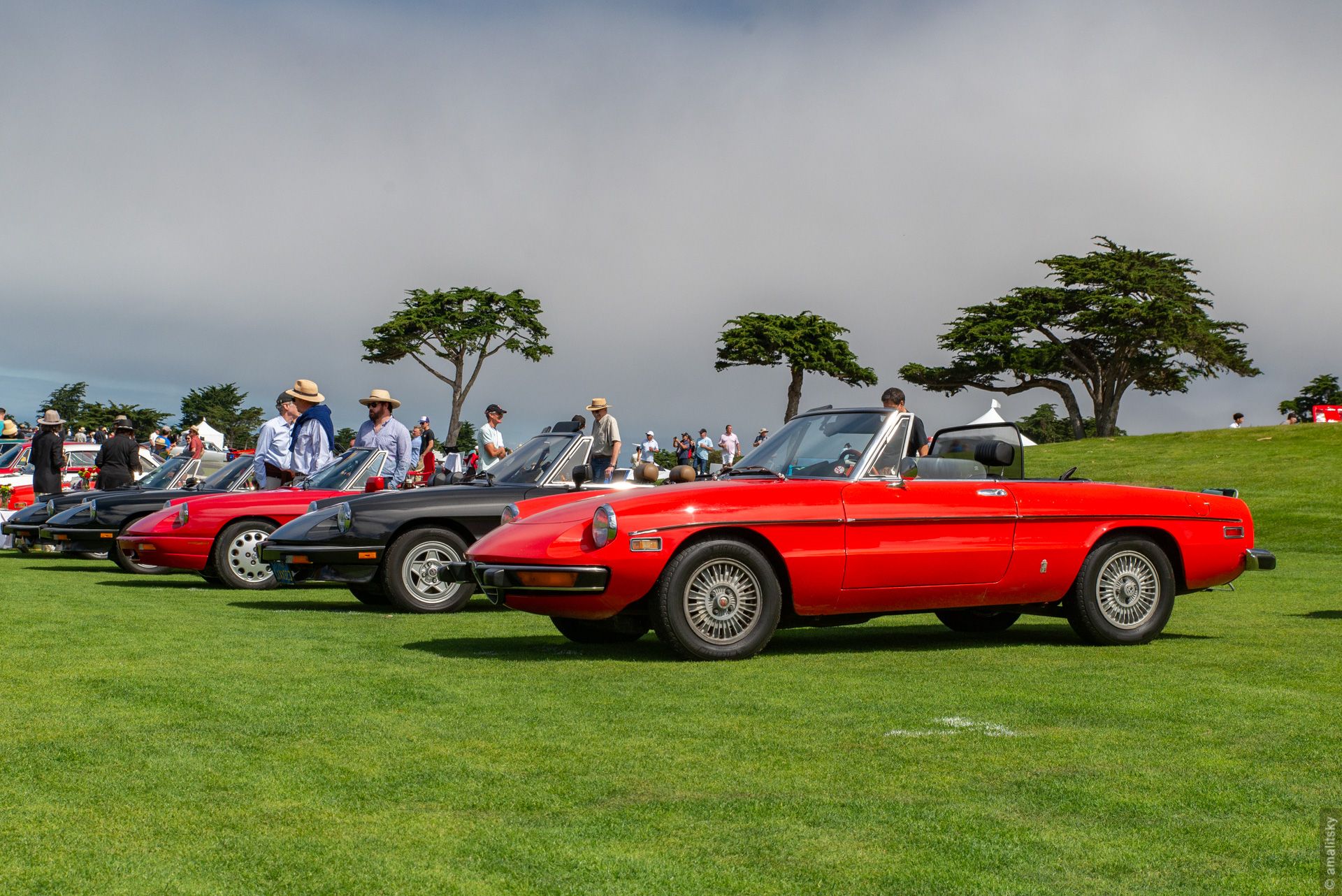 Alfa Romeo Spider