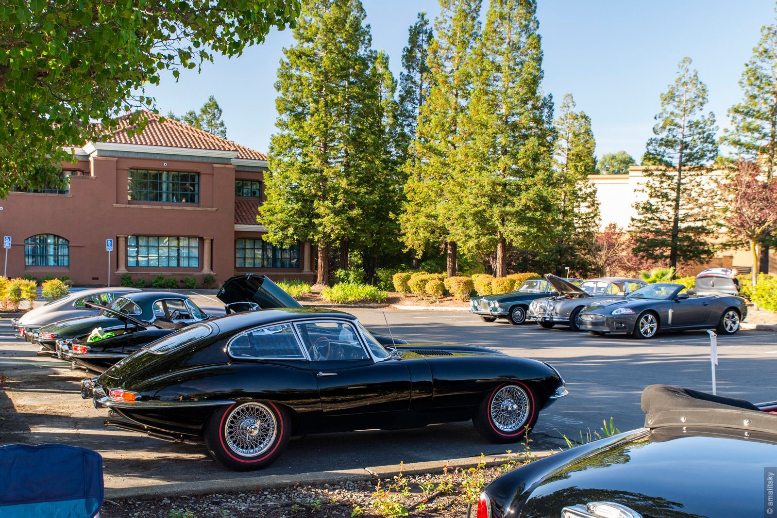 Jaguar E Type Coupe