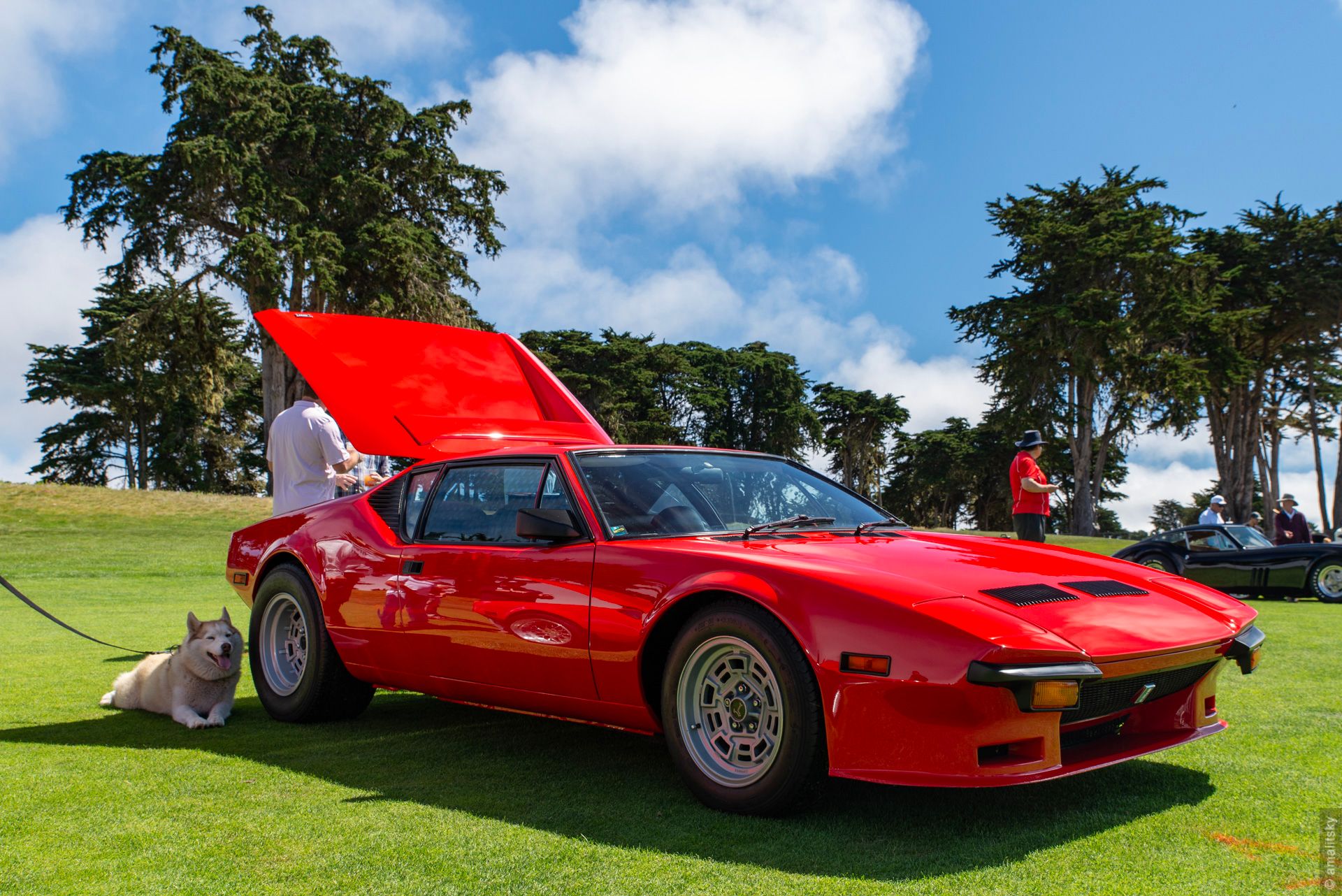 De Tomaso Pantera