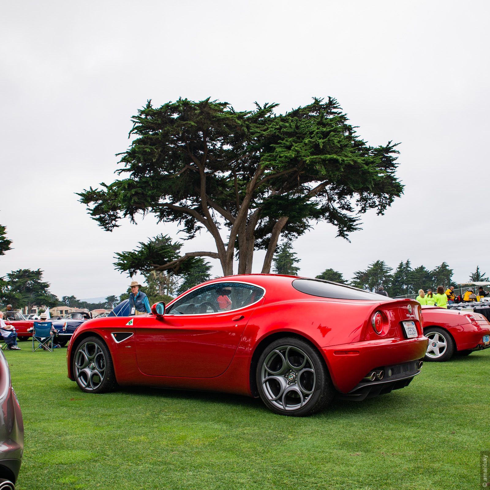 Alfa Romeo 8C