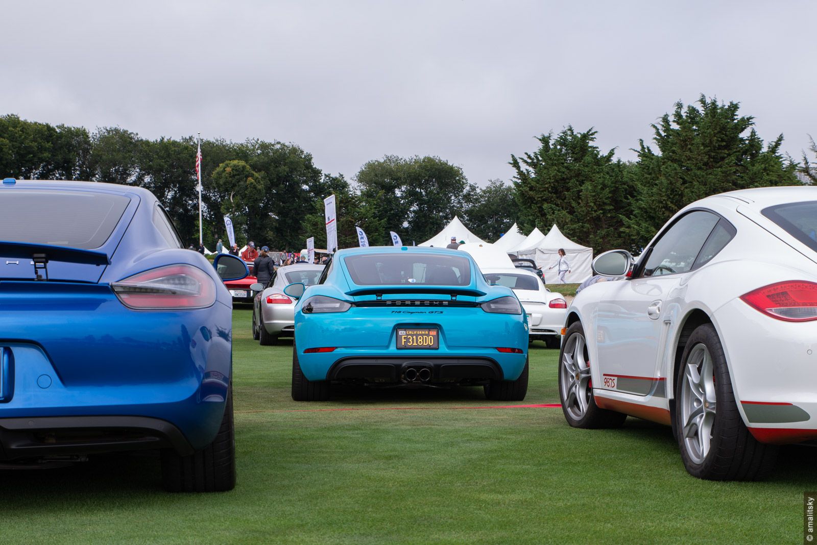 Porsche Cayman 987S, 981 and 718 (982). Mid-engined bunch