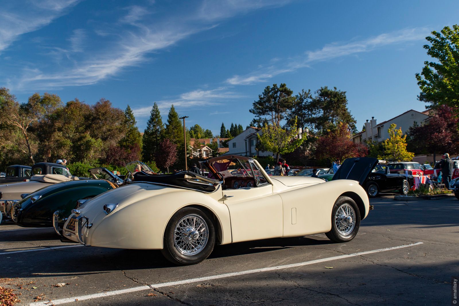 Jaguar XK120