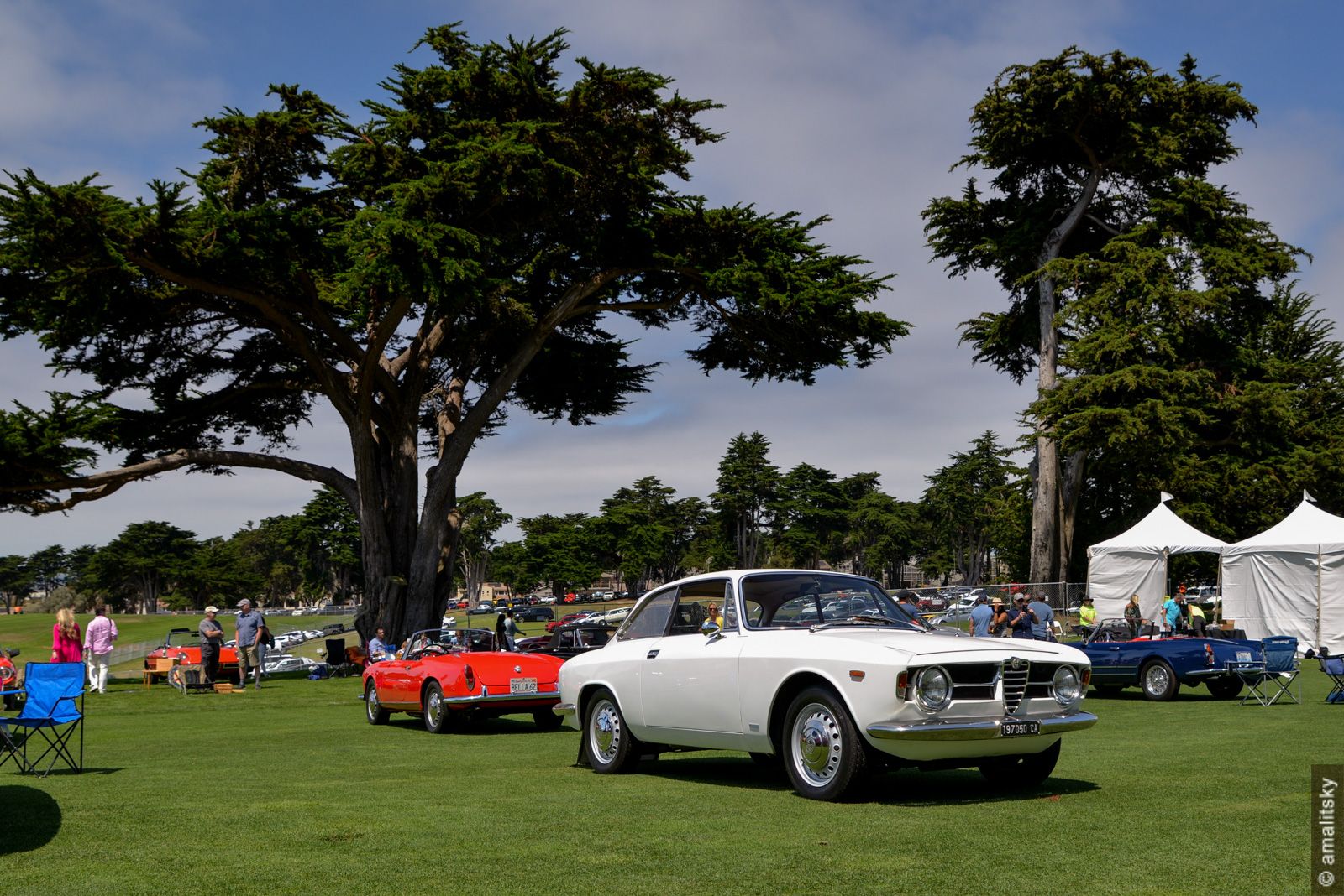 Alfa Romeo Giulietta Spider GTV Coupe